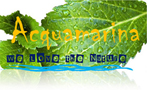Acquamarina - We Love the nature